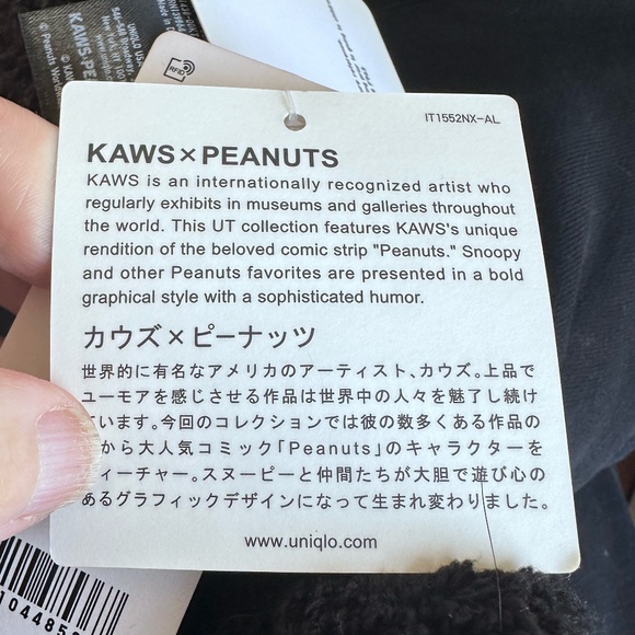 Kaws x Uniqlo x Peanuts Black Snoopy Plush Toy - Picture 6 of 6